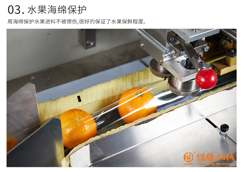 海綿保護橙子 海綿保護橙子